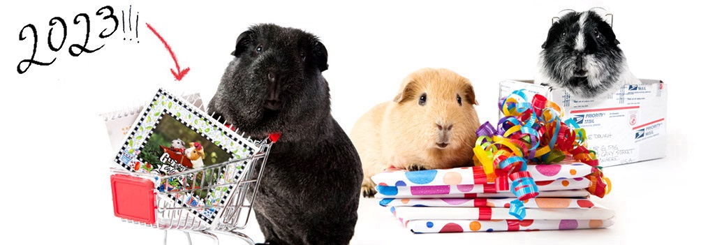 guinea pig calendar logo