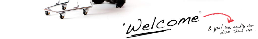 guinea pigs photo